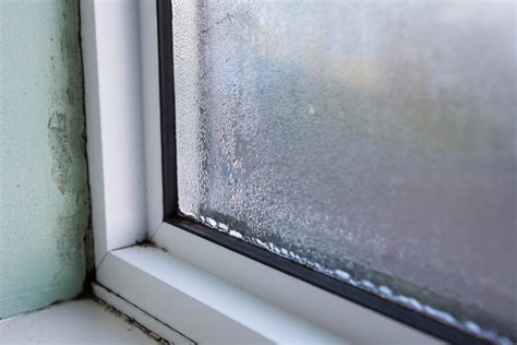 5 Reasons Your Windows Are Leaking (And How to。